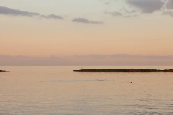 Lake at sunset. — Stock Photo, Image