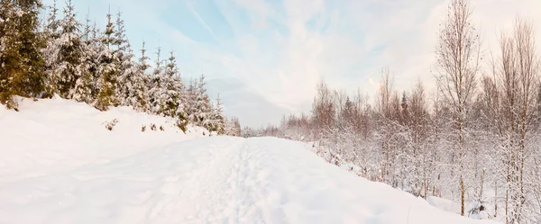 Paisaje de nieve invierno. Tiro panorámico . — Foto de Stock