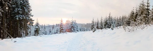 Zimní snow krajina. panoramatický záběr. — Stock fotografie