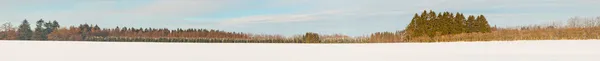 Зимний снежный пейзаж. Панорамный снимок . — стоковое фото