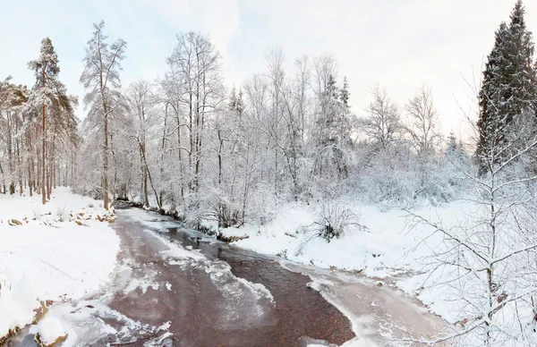 Paisaje de nieve invierno. Tiro panorámico . — Foto de Stock