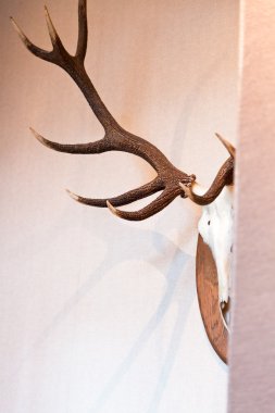 Afrika tarzı dekorasyon.