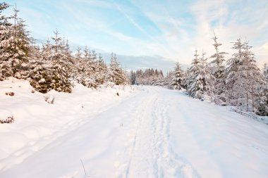 güzel kar kış manzara.