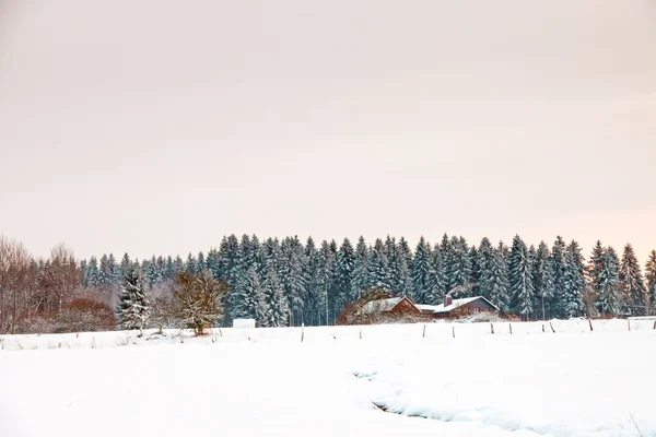 Krásná sněhová Zimní krajina. — Stock fotografie