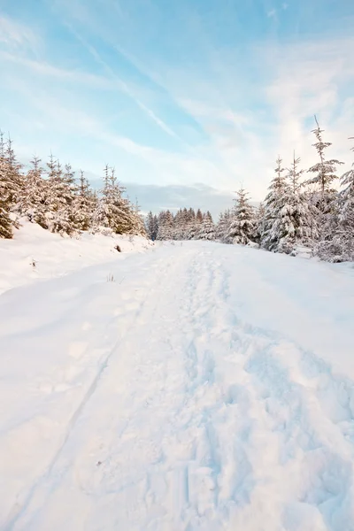 Krásná sněhová Zimní krajina. — Stock fotografie