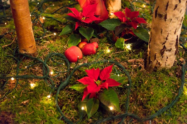 Karácsonyi dekoráció. — Stock Fotó