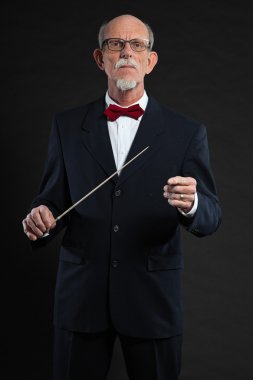 Stüdyo portre active senior iyi giyinmiş emekli adam.