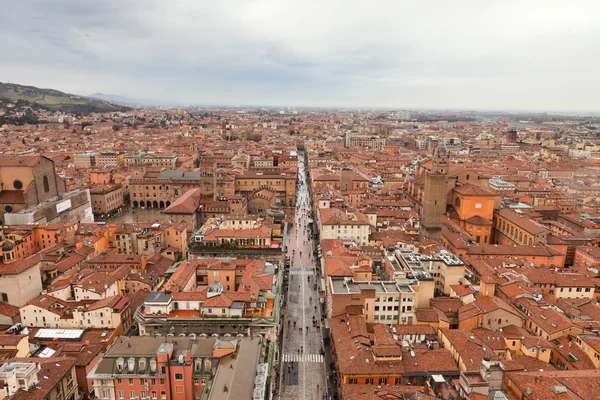 Staden bologna fåglar Visa. hustaken. Italien. Europa. — Stockfoto