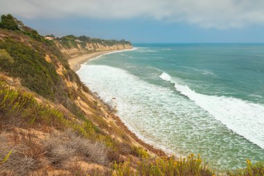 Malibu bitki örtüsü ile kaba güzel sahil. Amerika Birleşik Devletleri. Kaliforniya