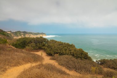 Malibu bitki örtüsü ile kaba güzel sahil. Amerika Birleşik Devletleri. Kaliforniya