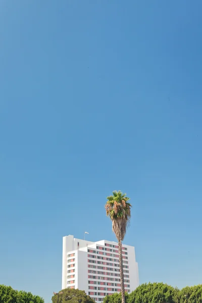 Hoge witte gebouw met palm tree en blauwe hemel. USA. Californië — Stockfoto