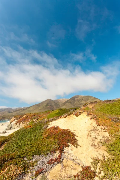 Ακτής big sur με βράχους και τη βλάστηση. Καλιφόρνια. ΗΠΑ. — Φωτογραφία Αρχείου