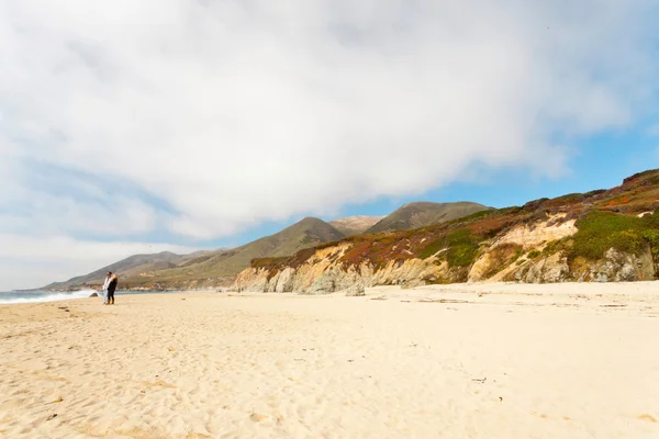 Costa de Big Sur com rochas e vegetação. Califórnia. Estados Unidos . — Fotografia de Stock