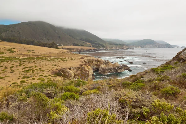 Wybrzeże big sur skały i roślinności. w Kalifornii. Stany Zjednoczone Ameryki. — Zdjęcie stockowe