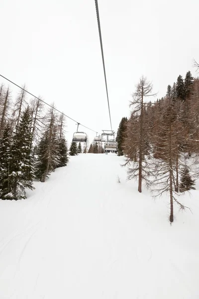 Skilift con pini. Nuvoloso giorno nuvoloso . — Foto Stock