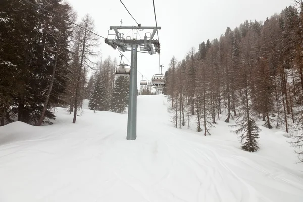 Skilift with pine trees. Cloudy overcast day. — Stock Photo, Image