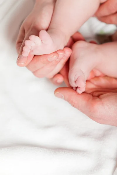 Ebeveynlerin elleriyle closeup baby feet. Stüdyo vurdu. — Stok fotoğraf