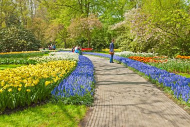 Lale bahçesinde bahar turistler. Keukenhof. Lisse. nether