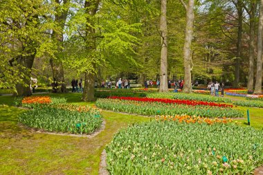 Çiçek bahçesinde bahar turist. Keukenhof. Lisse.