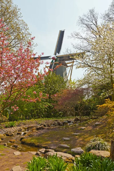 Dutch windmill with spring garden. Keukenhof. Lisse. — Stock Photo, Image