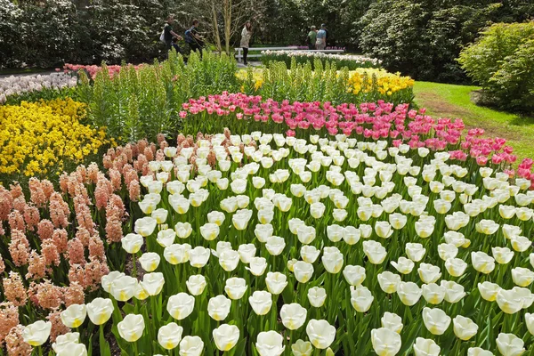 Botanical garden in spring. Keukenhof. Lisse. The Netherlands. — Stock Photo, Image