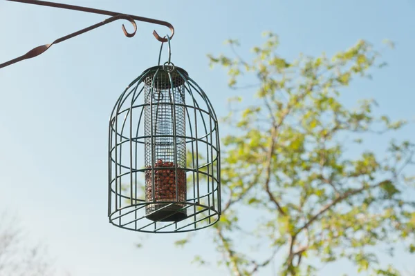 Gabbia per l'alimentazione degli uccelli appesa in giardino in primavera . — Foto Stock