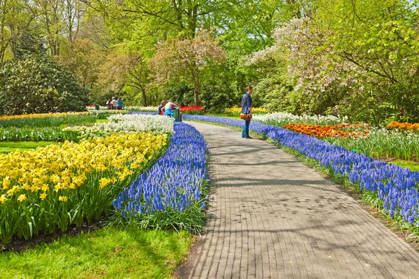 Tourists in tulip garden in spring. Keukenhof. Lisse. The Nether — Stock Image Tourists in tulip garden in spring. Keukenhof. Lisse. The Nether Royalty Free Stock Photos