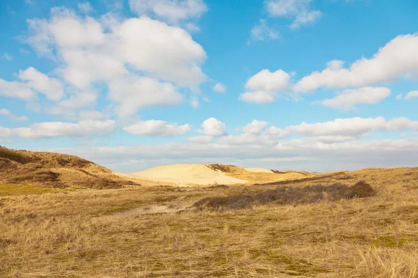 Grasbewachsene Dünenlandschaft mit blauem bewölkten Himmel. — Stockfoto