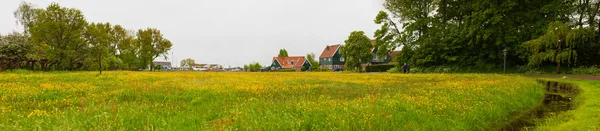 Äng och hus i gamla holländska byn. gula blommor. grå clo — Stockfoto