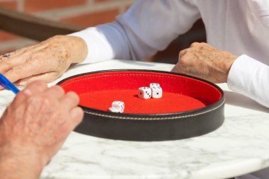 bahçede açık üst düzey Çift zar oyunu. Yahtzee.