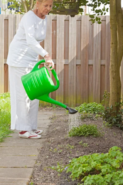 Seniorin gibt Pflanzen Wasser. Sommergarten. — Stockfoto