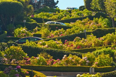 Lombard street san Francisco arabalı.