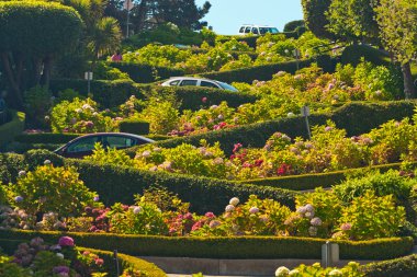 Lombard street with cars in San Francisco. clipart