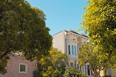 san Francisco ağaçları ile Victoria ev close-up. mavi