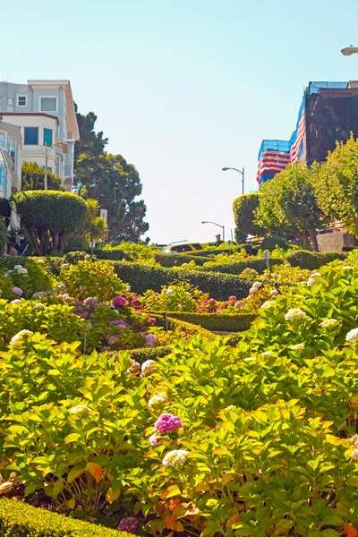 Lombard street z kwiatami w san francisco. — Zdjęcie stockowe