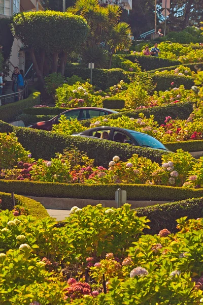 Lombard street with cars in San Francisco. — Stock Photo, Image