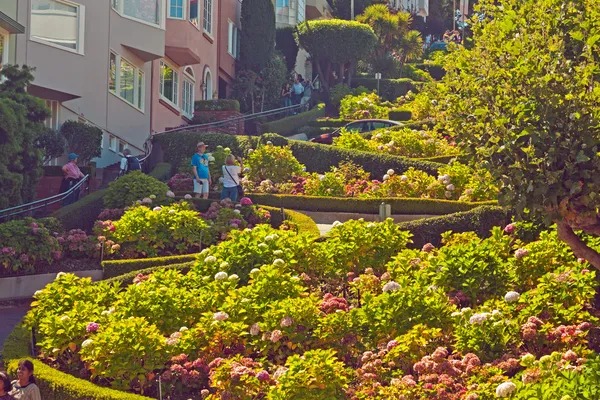 Lombard street z kwiatami w san francisco. — Zdjęcie stockowe