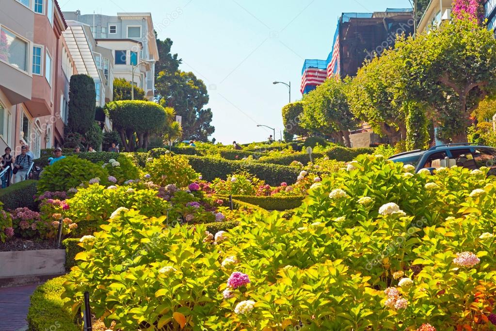 Lombard street with flowers in San Francisco. — Stock Photo © ysbrand