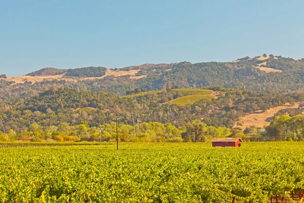 Adega com casa e céu azul. Vale de Napa. Califórnia. Estados Unidos . — Fotografia de Stock