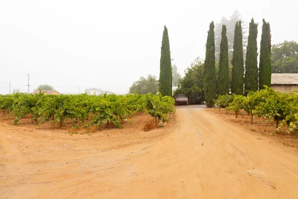 Paisaje de bodega con coche en la niebla. Valle de Napa. California . — Foto de Stock