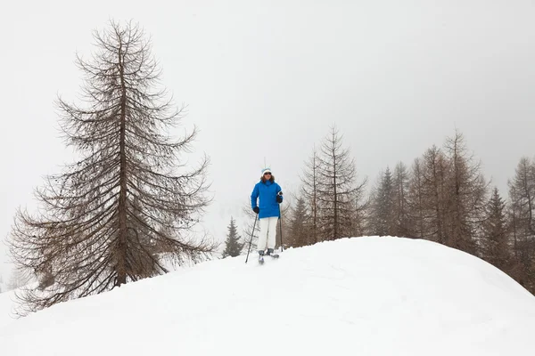 Happy ski woman standing in snow with pine trees. — Stock Photo, Image