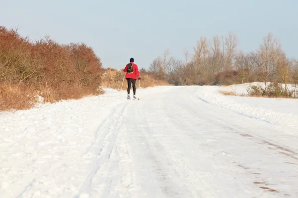 Enkele man wandelen met ski's in Nederlandse winterlandschap met blauw — Stockfoto