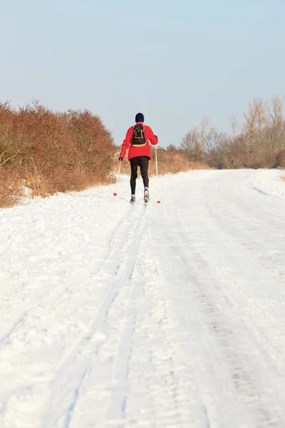 Senderismo hombre soltero con esquís en holandés paisaje de invierno con azul —  Fotos de Stock