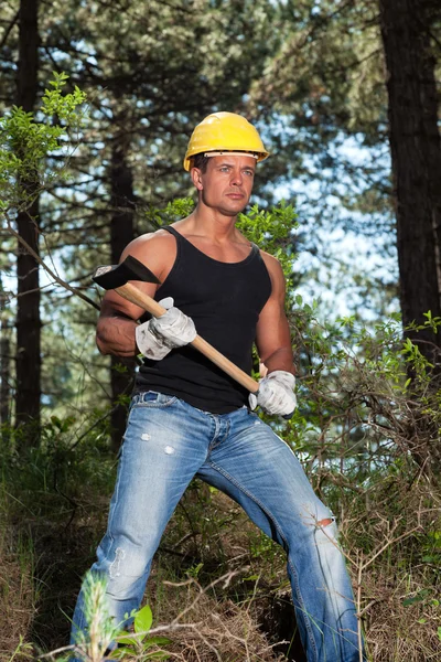 Muscled lumberjack with black shirt and axe in forest. Wearing y — Stock Photo, Image