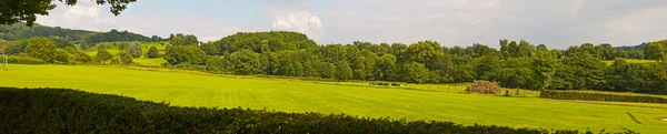 Paysage de collines avec prairie et arbres et ciel nuageux bleu. Panora — Photo