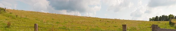 Hill landscape with meadow and trees and blue cloudy sky. Panora — Stock Photo, Image