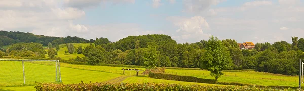 Hill landscape with meadow and trees and blue cloudy sky. Panora — Stock Photo, Image