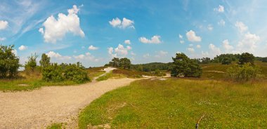 meadow yolu ile ve ağaçları ile mavi clou panoramik manzara