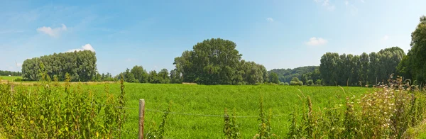 Panoramalandschaft mit Wiesen und Bäumen bei blauem bewölkten Himmel. zu — Stockfoto