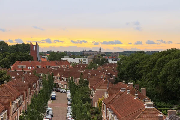 Holländische Wohngegend mit grünen Bäumen und bewölktem Himmel bei Sonnenuntergang — Stockfoto